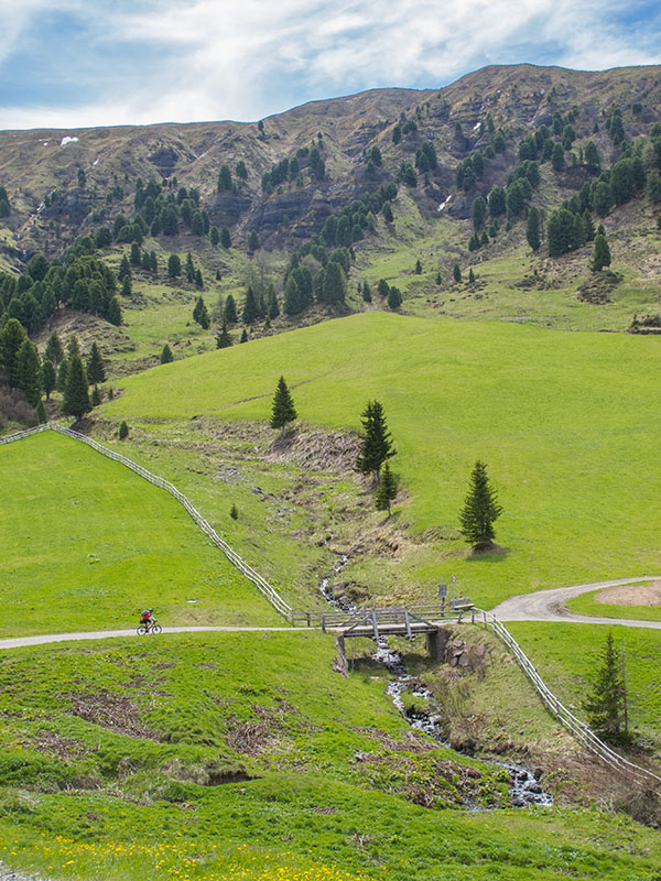 Reini f&auml;hrt ein St&uuml;ck voraus ...