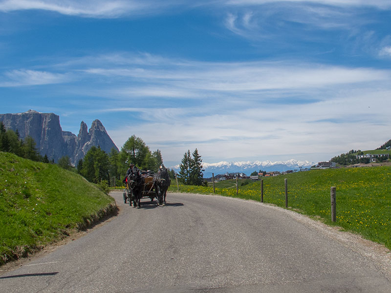 Pferdekutsche bei Compatsch