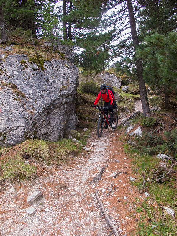 Schon bald werden die Wege knackiger
