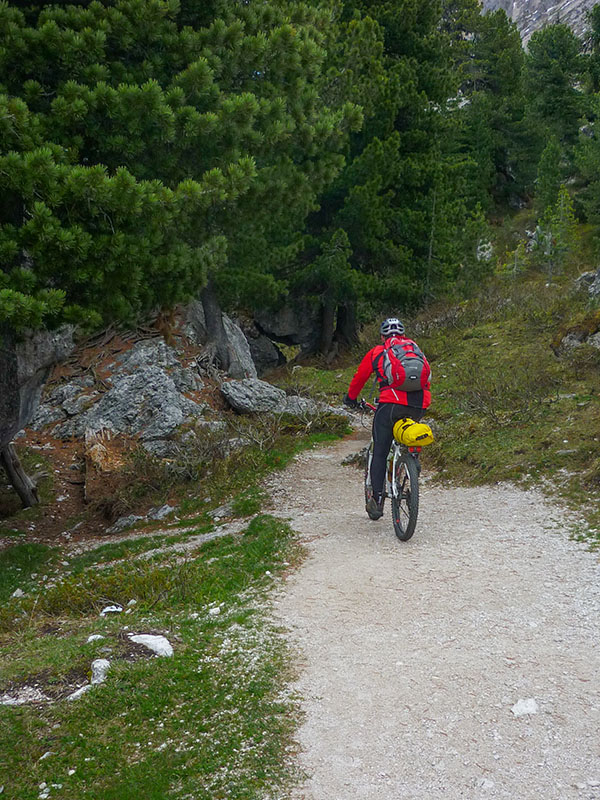 Der Weg ist mal breiter ...