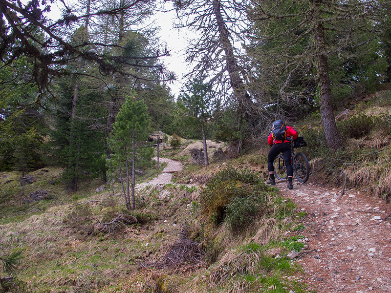 ... und mal schmaler