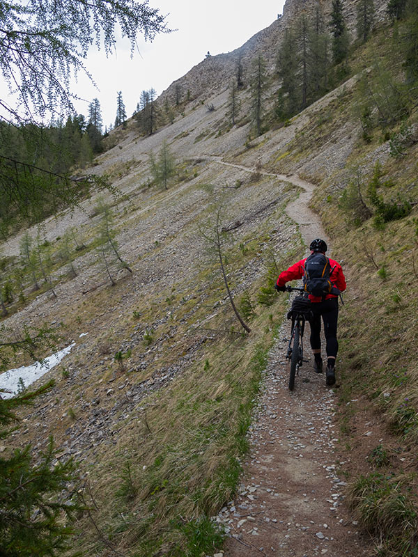 Dieser Weg ist viel steiler, als man auf dem Foto erkennen kann :-(