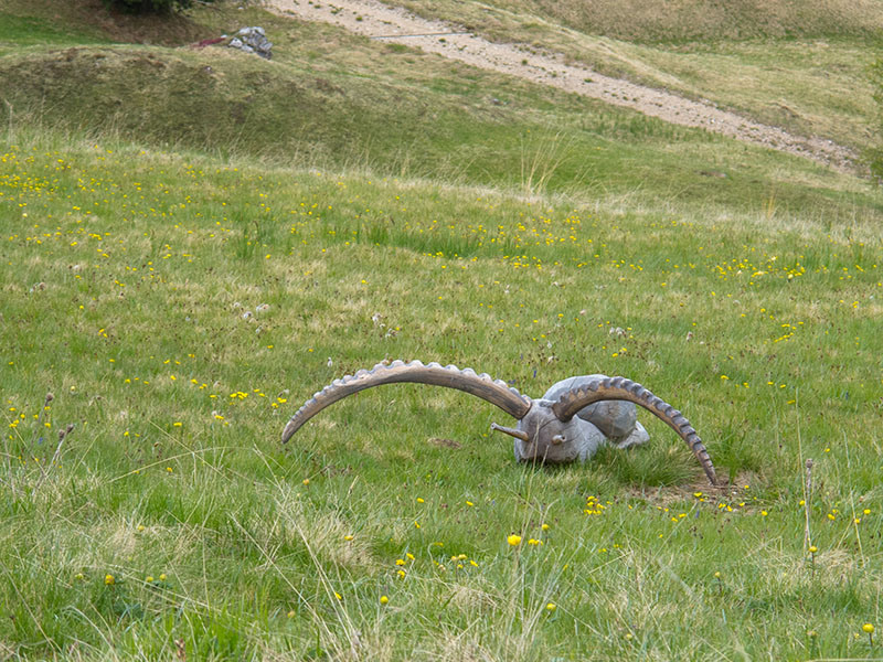 Die Fantasie kennt kaum Grenzen