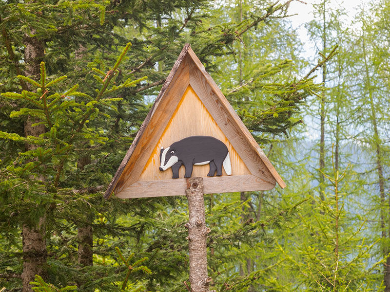 ... und Dachs sind nur einige Beispiele von vielen Motiven