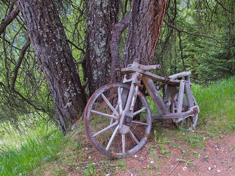 Kein Drahtesel, aber ein Holzesel ;-)