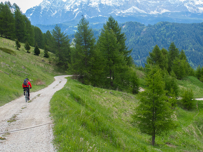 Immer tiefer steigen wir ins Tal hinab