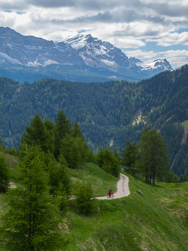 Erst rast Reini voraus ...