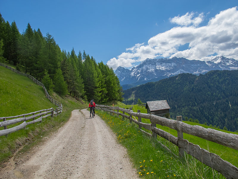 Weiter geht die wilde Fahrt