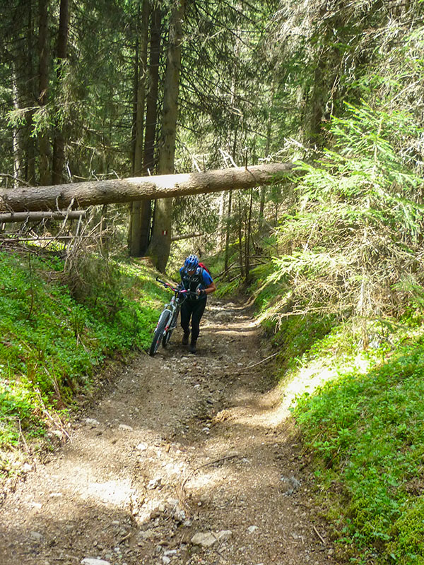 Wer den falschen Weg nimmt, muss schieben