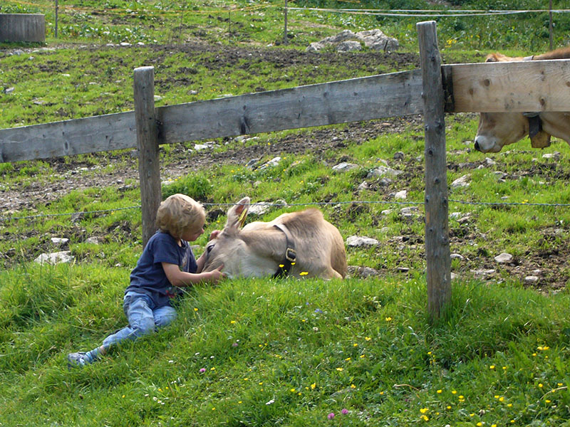 Ein Junge schmust mit einem Kalb ;-)