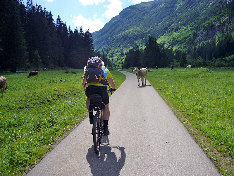 Hm, wer weicht jetzt aus?