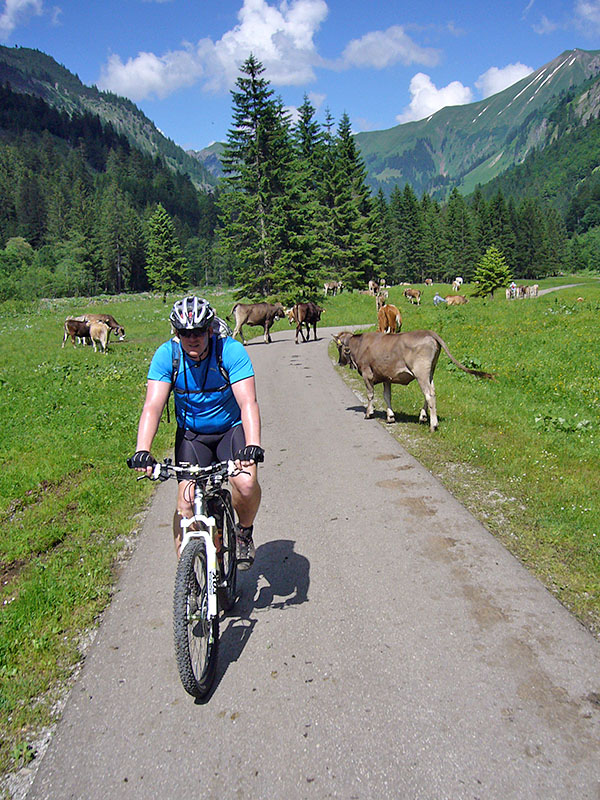 OK, die geh&ouml;rnten "M&auml;delz" machen Platz ;-)