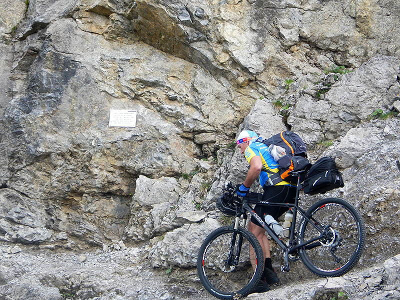 Wir k&auml;mpfen uns tapfer weiter