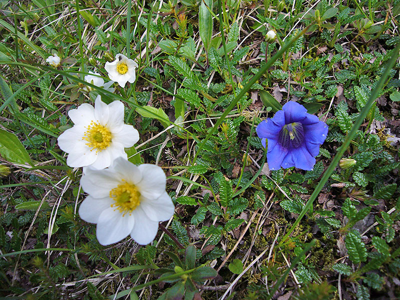 Wir haben sogar Zeit, nach den Blumen zu schauen ;-)