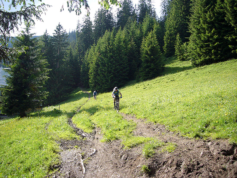 Abfahrt ins Tal, das Abendessen wartet