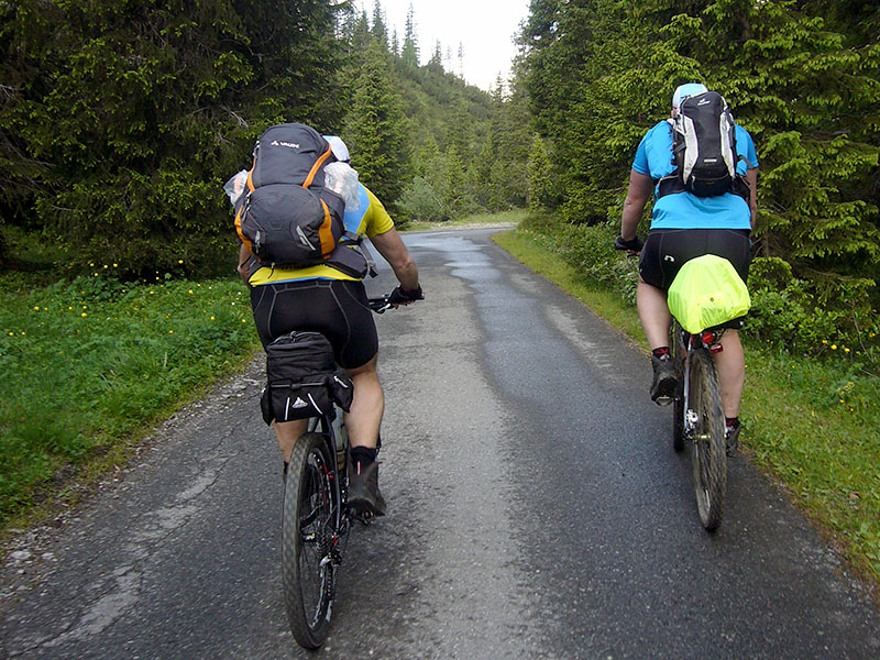Im Wald sind die Wege noch nass, vom Gewitter in der letzten Nacht