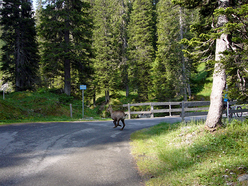 ... und eine zweite ist auch nicht weit