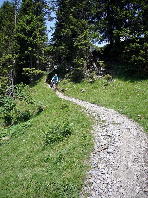 Zumindest ist der Abstieg ...