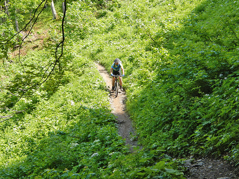 Ach, hier rollt es mal wieder