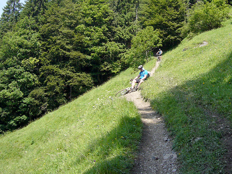 Bums, da liegt der Waldi ;-)