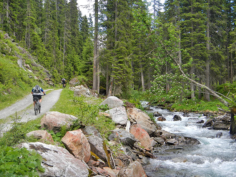 ... und tr&auml;gt uns immer weiter hinauf