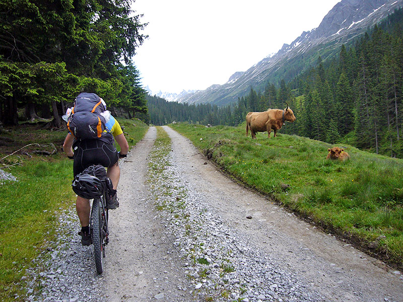 Wer wird denn da nach links ausweichen ;-)