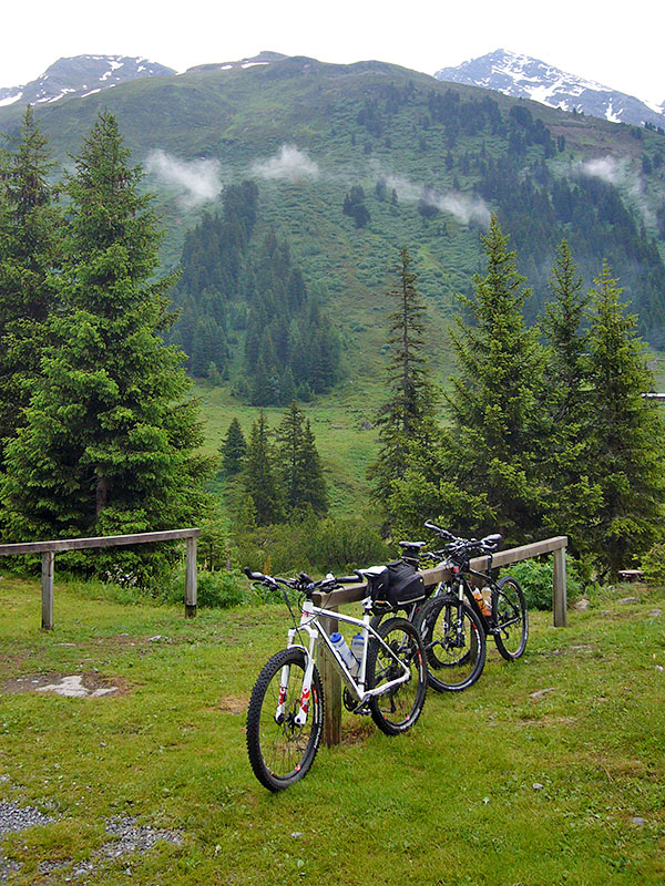 Am Morgen warten die Pferdchen schon ungeduldig