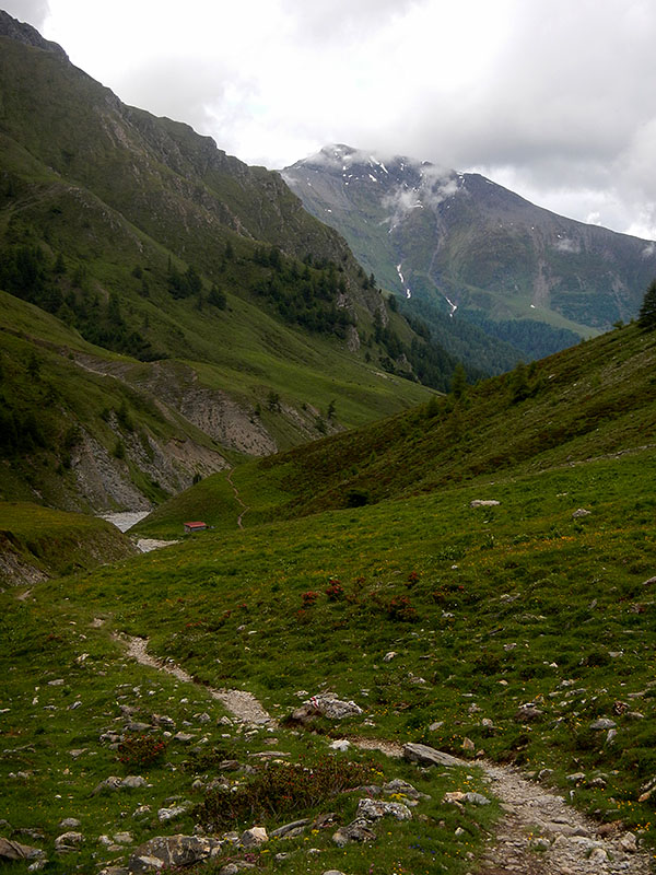... wieder fahren - oder wie ich fallen :-(