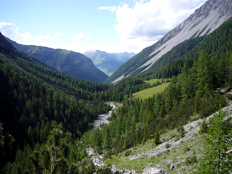 Ein letzter Blick zur&uuml;ck ...