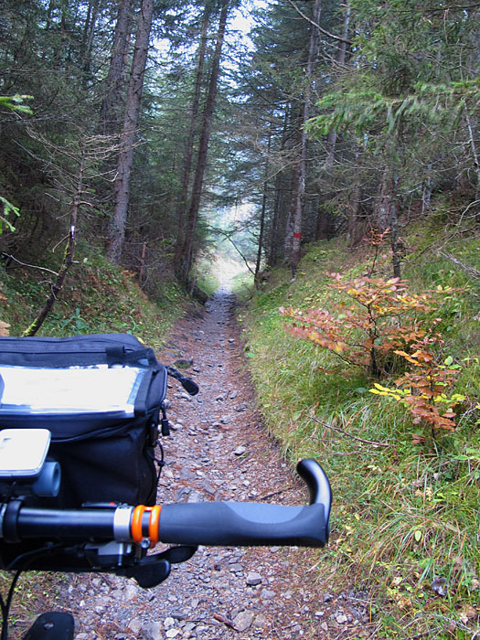 Durch diese Gasse muss der Hohle kommen, oder so ...