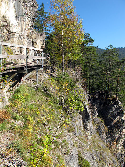 Das w&auml;re nichts f&uuml;r Reinhard ...