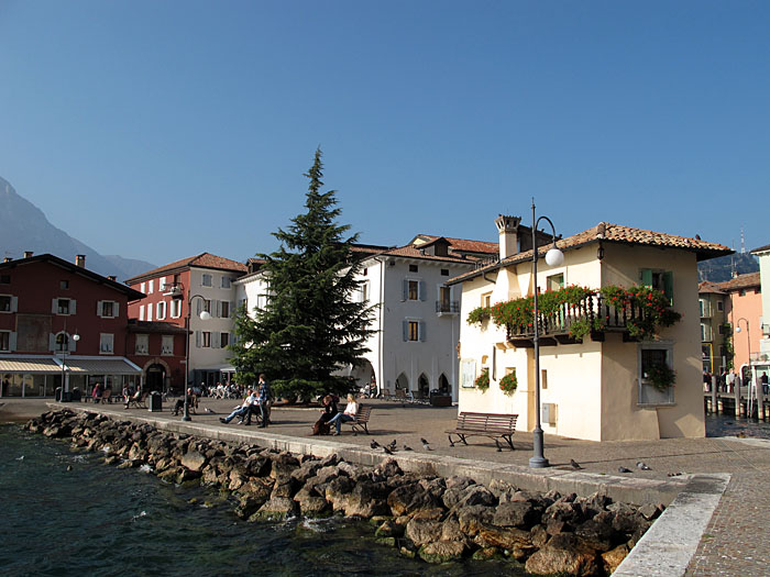 Sonnenanbeter am Ufer des Gardasees