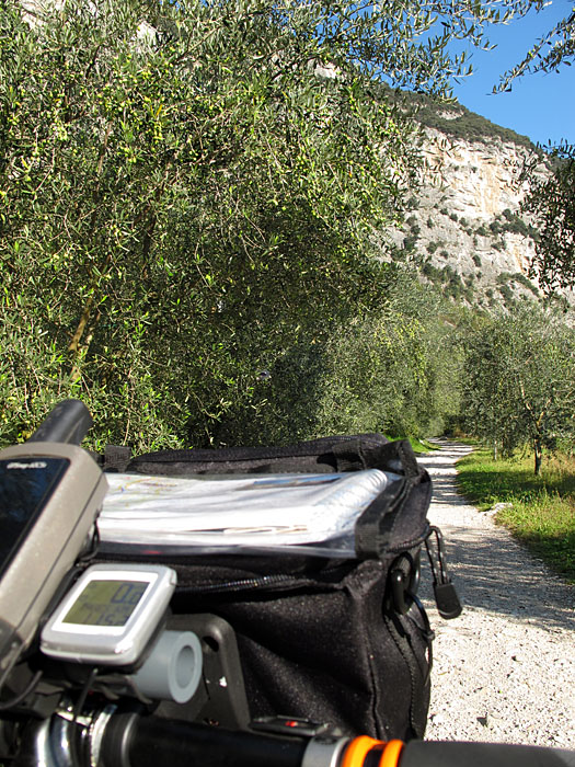 Fahrt durch Olivenhaine