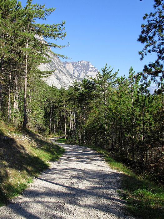 Der Schotter wird grober