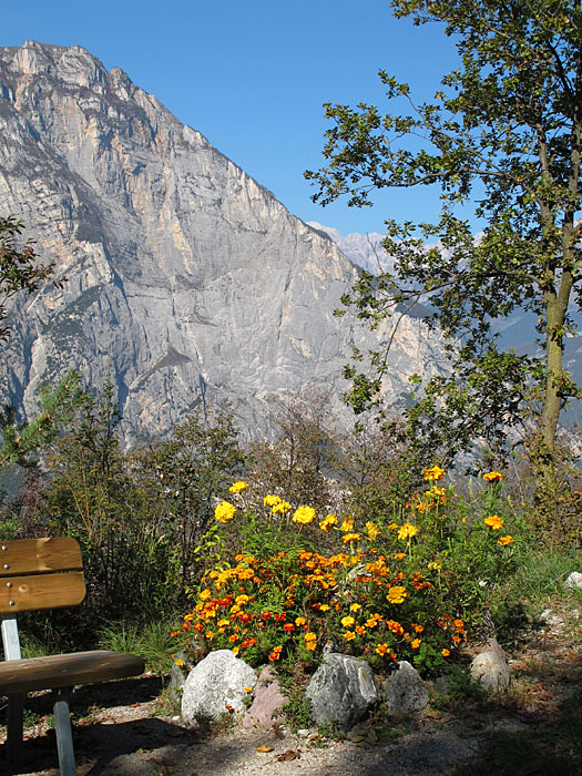 Sch&ouml;ne Blumen mitten im Nichts