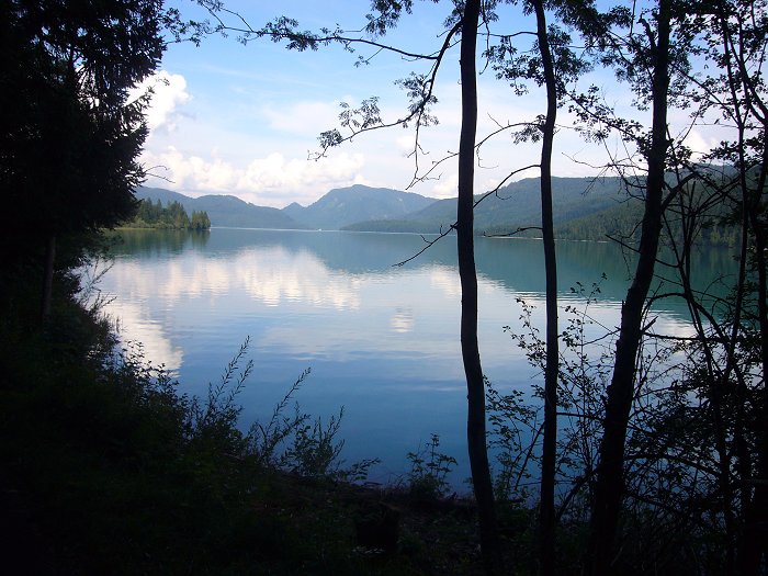 Der Walchensee