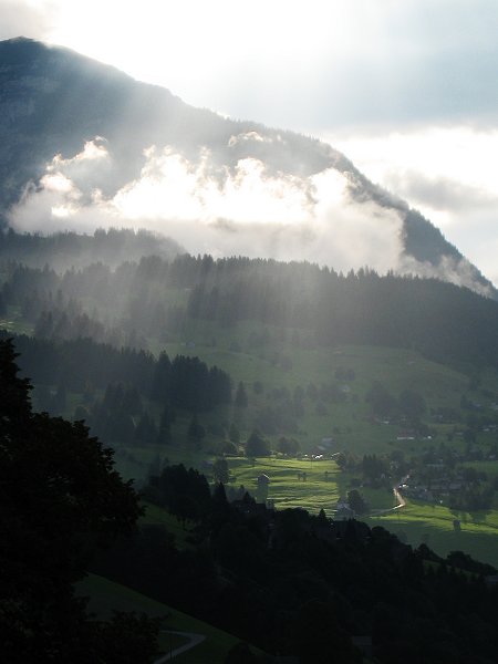 Morgennebel