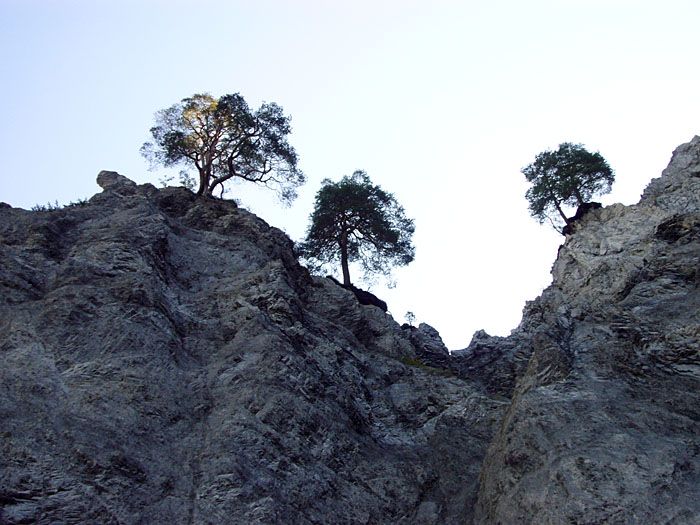 Rechts geht es hinauf ...