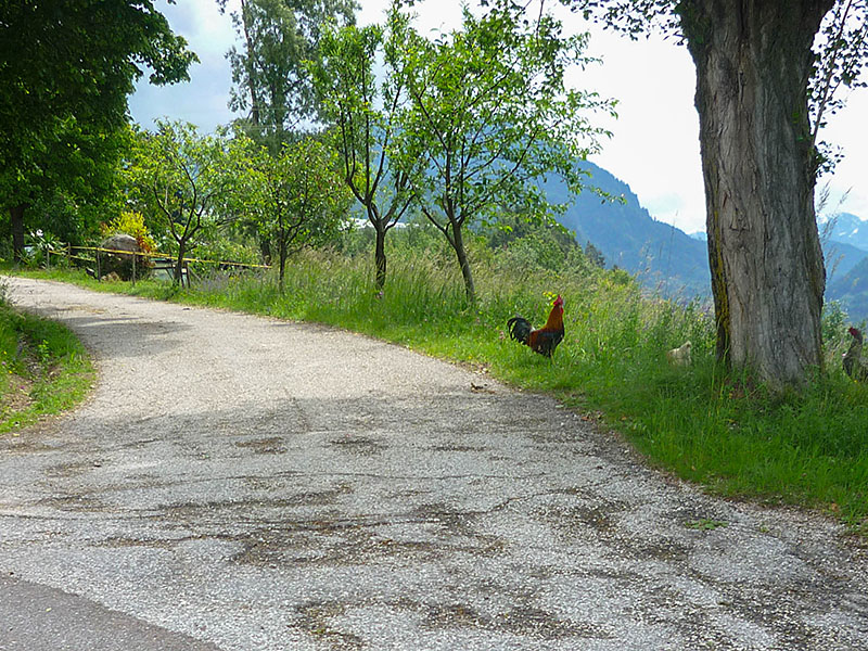 Das Abendessen? ;-)