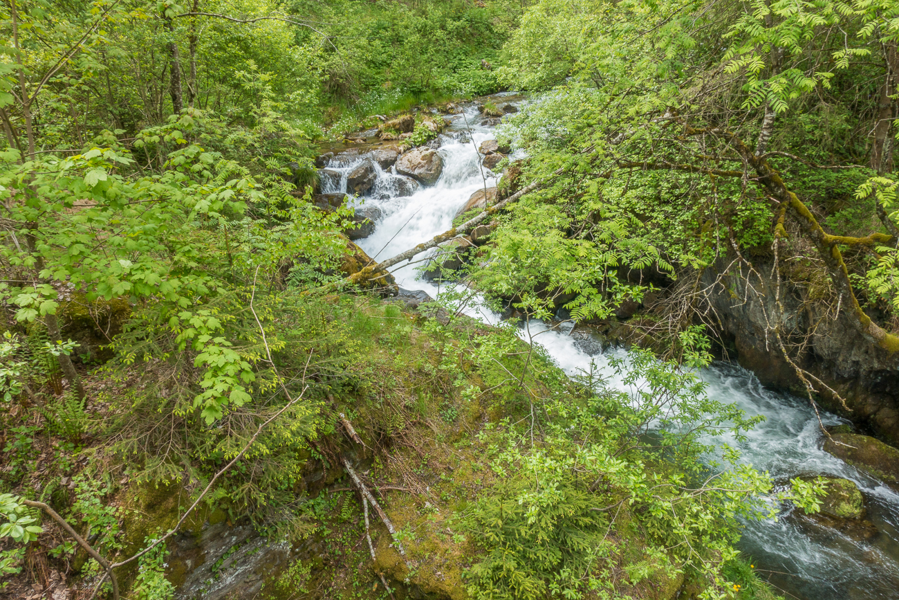 Wildbach ...