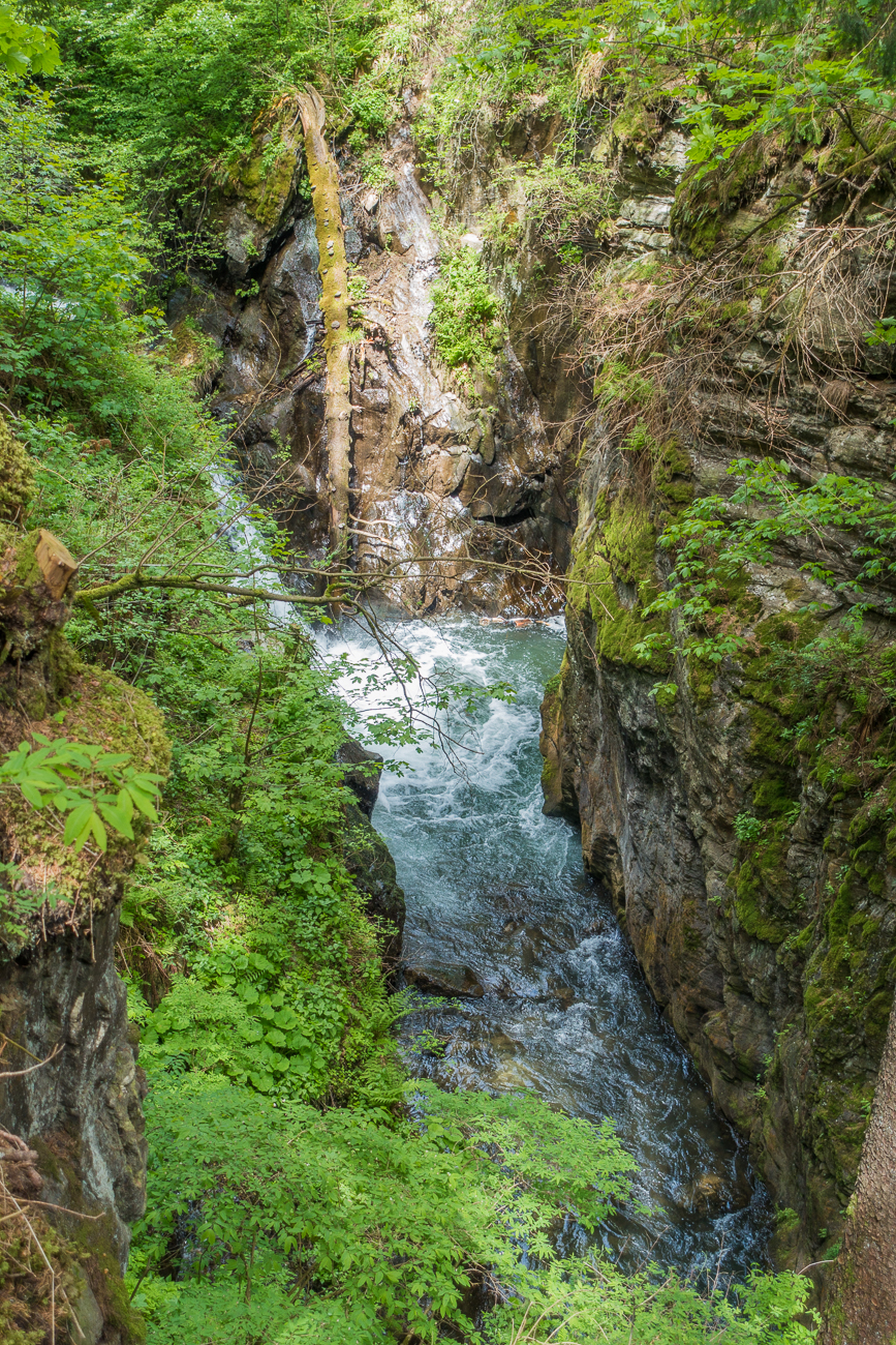 Die Schlucht
