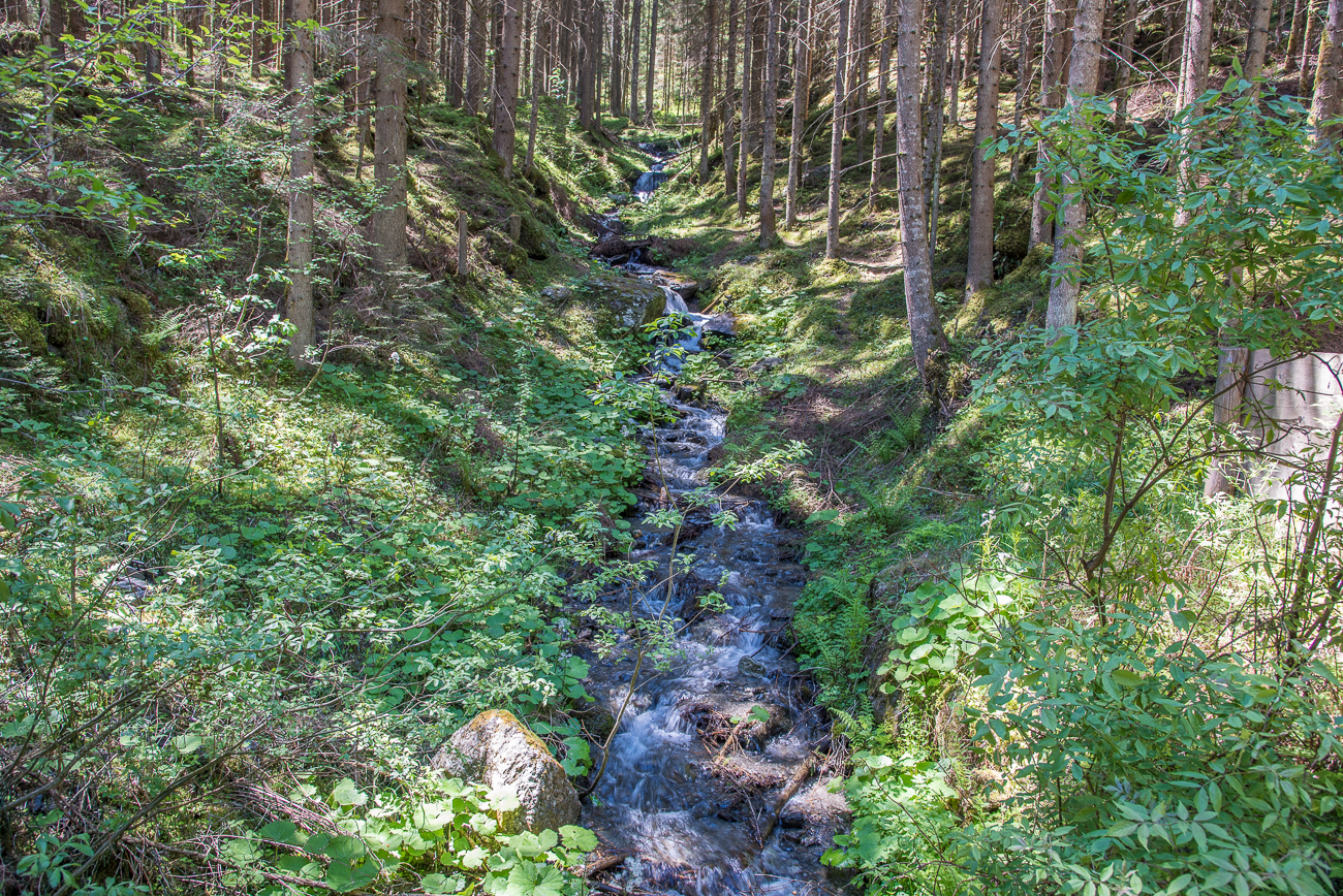 Bergbach
