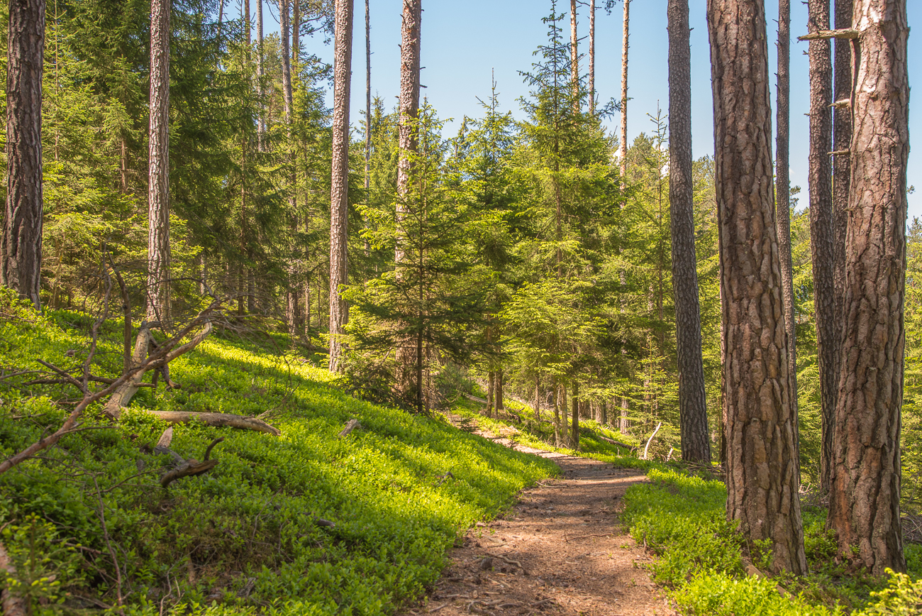 Wanderweg
