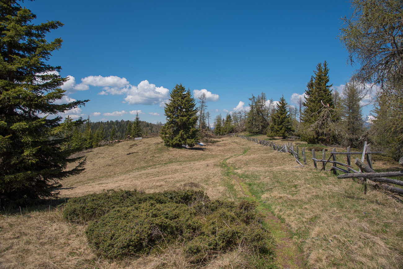 Wanderpfad