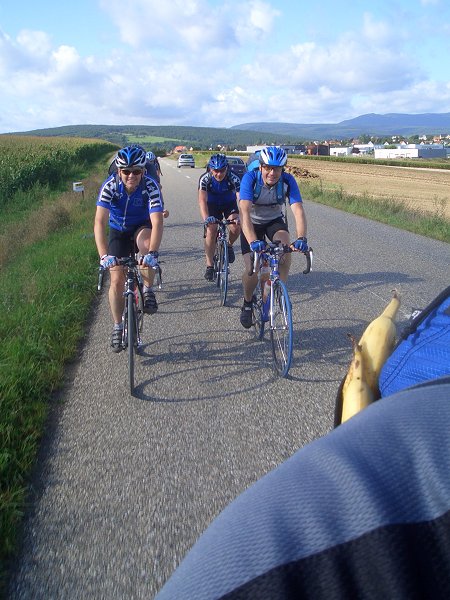Mit Bananen wird der Pulk gelockt ;-)