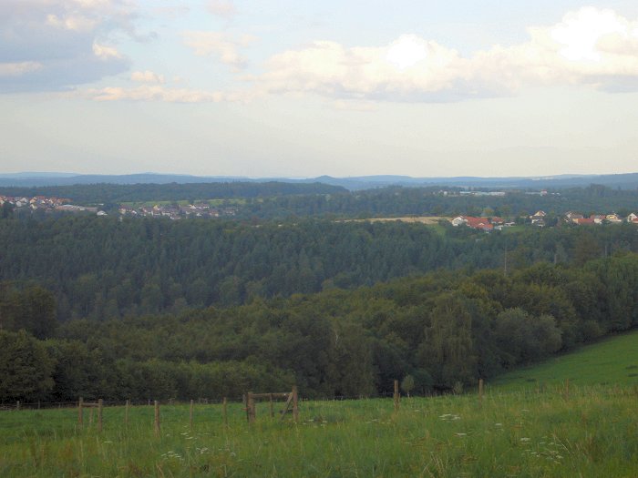 Blick auf den Schwarzwald