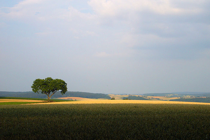 Gewitterstimmung