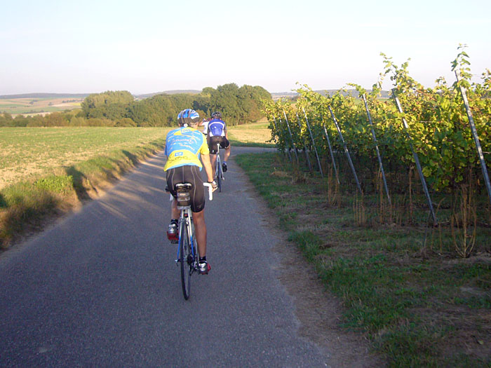Durch die Weinberge
