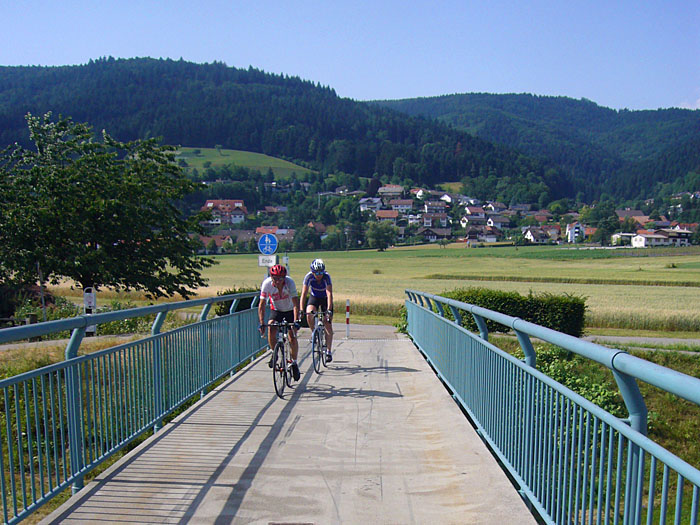 Brücke über die Kinzig