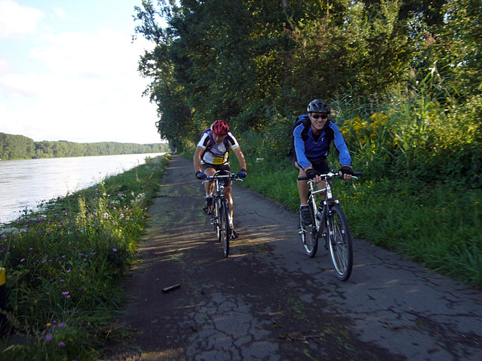 Radweg auf der Pfälzer Rheinseite